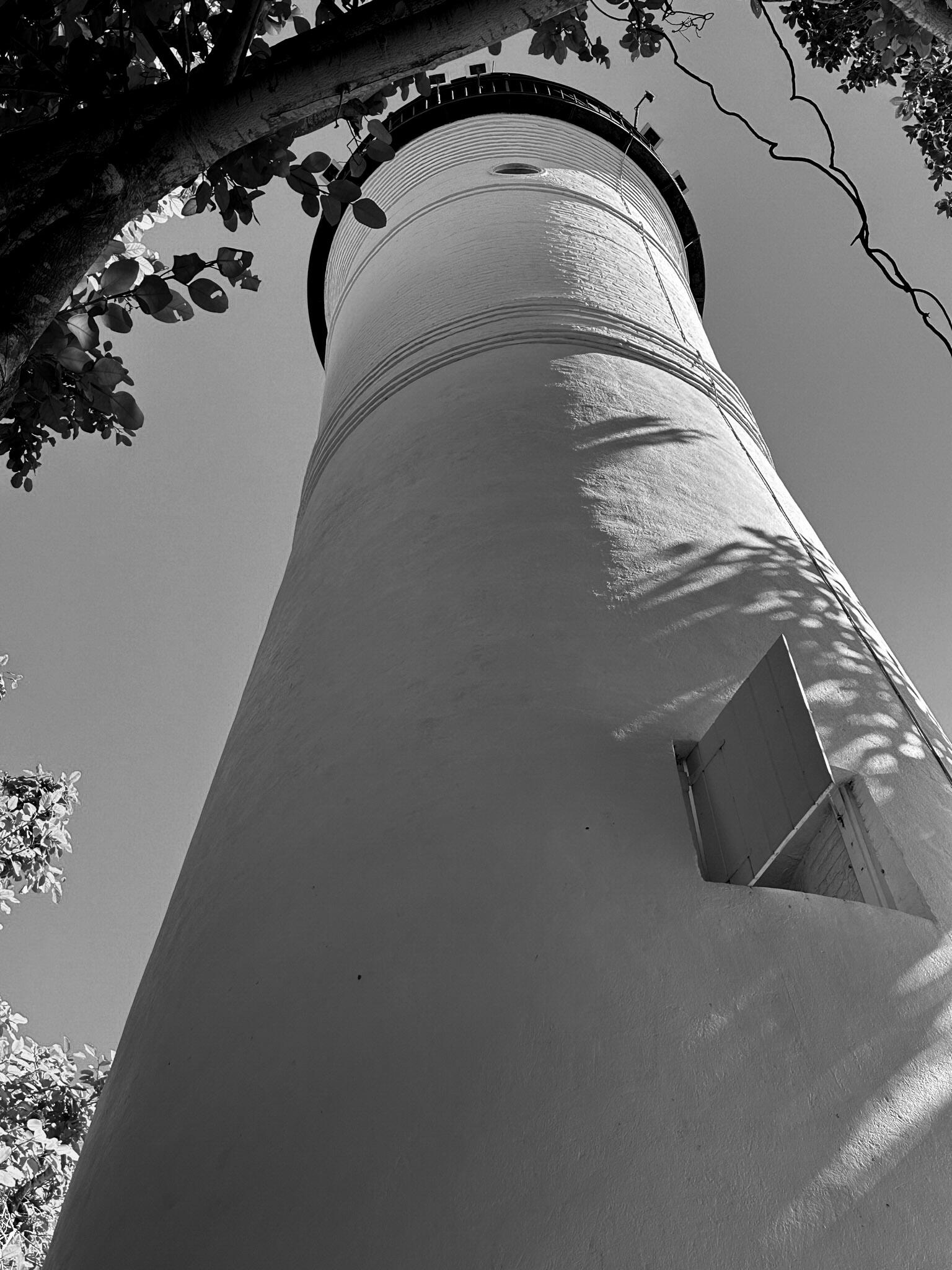 Serie * Marine life Serie * Marine life